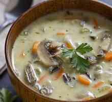 Kuhanje juhe od gljiva s piletinom: zanimljivi recepti i sadržaj kalorija
