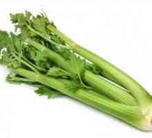 Kuhanje od petioliranog celera