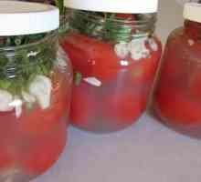 Slanica za kuhanje za rajčice: recepti