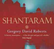Gregorij David Roberts, roman `Shantaram`: kratki sažetak, glavni lik