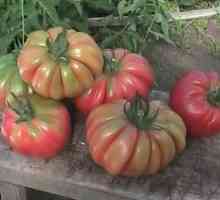 `Gljiva za košare `- rajčica za ukrašavanje stola