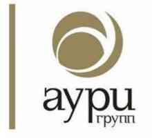 Grupa tvrtki `Auri`. Povratne informacije i udobnost zaposlenika