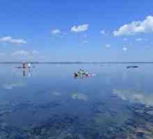 Guseletovo: slano jezero - ljekovita mjesta Altai teritorija