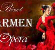 Karakteristično za Carmen. Slika Carmen u Bizetovoj operi