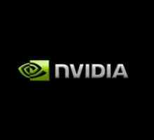 NVIDIA GeForce grafičke kartice značajke: popis po kapacitetu