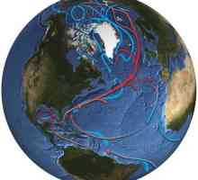 Характеризуем климат Атлантического океана: температура, влажность, особенности
