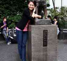 Hachiko: spomenik u Tokiju. Spomenici Hachiko pasa u Japanu
