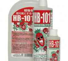 HB-101 (fertilizer): mišljenja, korisnički priručnik
