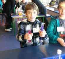 Kemija za djecu: zanimljivi eksperimenti