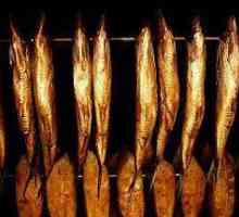 Hladno pušenje ribe: tehnologija, recept. Kakvu ribu je bolje pušiti u pećnici? Sladoled s hladnim…