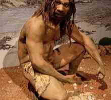 Homo Heidelbergensis, или гейдельбергский человек. Как выглядел и чем занимался гейдельбергский…