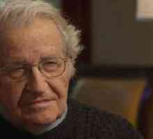Chomsky Noam: citati