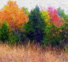 Želite znati kako slikati u jesenjim bojama?