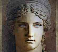 Hera Hera u Olympiji, Grčka: povijest, arhitekt, fotografija
