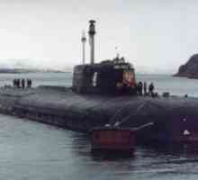Kronika smrti nuklearne podmornice "Kursk". Kad je podmornica "Kursk" potonula