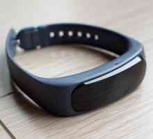 Huawei Talkband B1: pregled, fotografije i recenzije. Smart satovi i narukvice