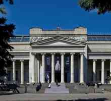 Umjetnički muzeji Rusije i njihovo značenje u kulturnom životu