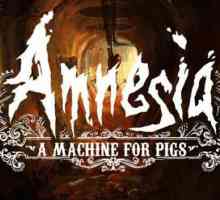 Amnezija: Stroj za svinje: Prolazak