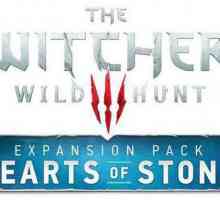 Igra "The Witcher 3: Stone Hearts": prolazak. "Witcher 3: Stone Hearts": prolaz…
