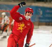 Igrač ruske nacionalne hokejaške momčadi Sergej Lomanov