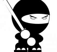 Ponašanje u igri - kako postati ninja