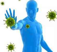 Imunologija je biomedicinska znanost. Osnove imunologije
