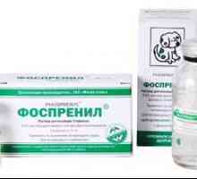 Immunomodulating drug for animals "Fosprenil": Upute za uporabu
