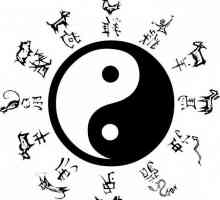 Yin-yang tetovaža: značenje i mjesto primjene