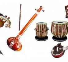 Indijski glazbeni instrumenti: žice, vjetrovi, udaraljke