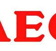 Indukcijska ploča AEG: upute i reference