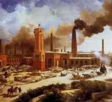 Industrijsko društvo karakterizira ... Ono što karakterizira industrijsko društvo