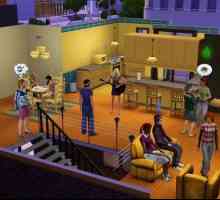 Upute: kako ukloniti dodatke u "The Sims 3".