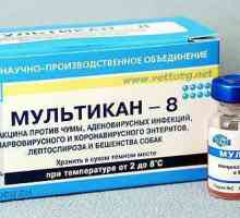 Upute za uporabu "Multikan-8": svojstva lijeka, izjave