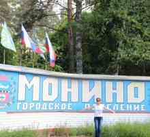 Zanimljiv je u selu Monino, Moskvu, povijest i modernost