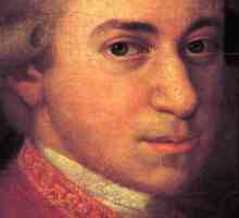 Интересные факты из жизни Моцарта. Вольфганг Амадей Моцарт: биография