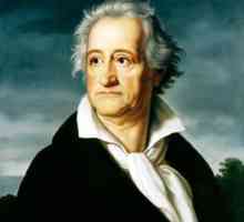 Johann Wolfgang von Goethe: biografija, fotografije, djela, citati