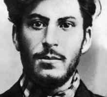 Josip Staljin: biografija, obitelj, citati. Državljanstvo Staljina