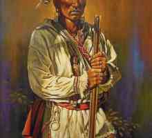 Iroquois - Indijanci Sjeverne Amerike: broj i raspon plemena