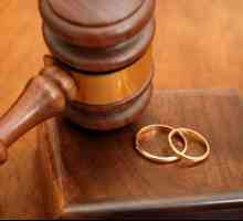 Zahtjev za razvod: uzorak