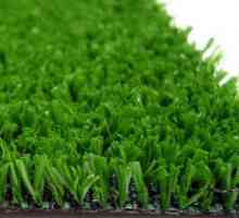 Umjetna trava `Lime`. Prednosti i koristi