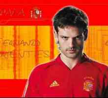 Španjolski nogometaš Morientes Fernando: biografija, statistika, ciljevi i zanimljive činjenice