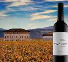 Španjolska vinska regija Rioja. Vina Rioja
