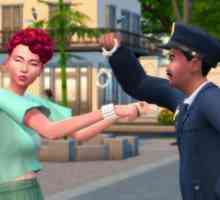 Kôd upotrebljavamo za povećanje karijere u "The Sims 4"