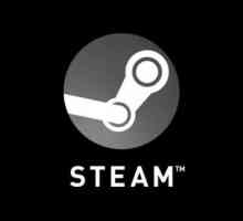 Ispravljanje greške odbijene na Steam Validation