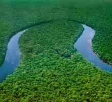 Izvor energije rijeke Kongo. Identifikacija izvora