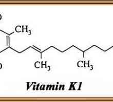 Izvori vitamina K1. Za što se koristi Vitamin K1?