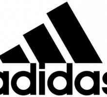 Povijest Adidasa, struktura i aktivnosti tvrtke
