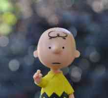 Priča o Charlie Brownu: poznati lik strip knjige "The little of pot-bellied"