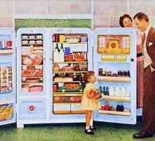 Povijest hladnjaka od glečera do moderne opreme