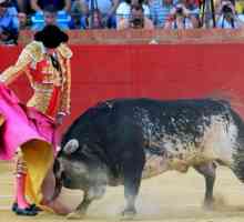 Povijest borbe s bikovima u Španjolskoj: slanje fotografija